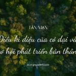 The Forgetting Curve là gì? Làm sao để khắc phục sự lãng quên của bộ não qua kĩ thuật Spaced Repetition